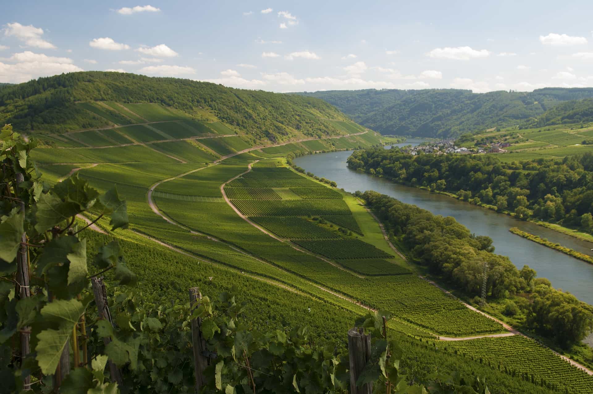 image representing the Mosel region